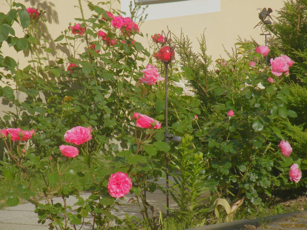 Am Lindenbaum Bed & Breakfast Sebnitz Exterior foto