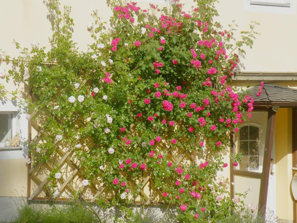 Am Lindenbaum Bed & Breakfast Sebnitz Exterior foto